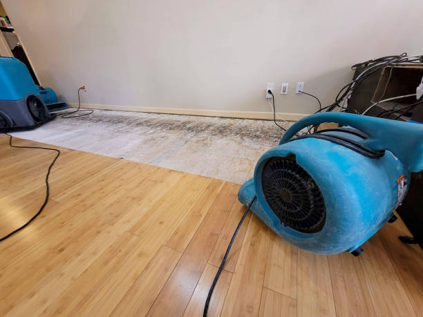 Professional Water Removal technician working in Elberta, UT